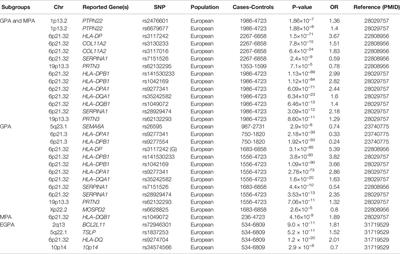 Antineutrophil Cytoplasmic Antibody-Associated Vasculitis Update: Genetic Pathogenesis